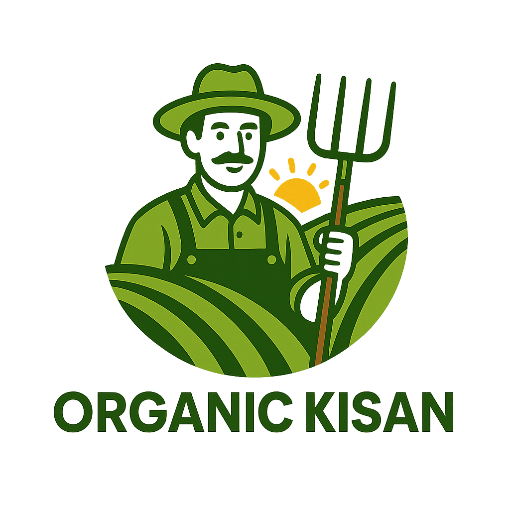 chatgpt image nov 12, 2025, 04 40 56 pm